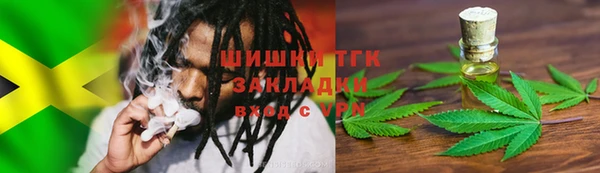 винт Абаза
