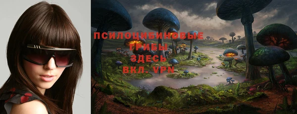 гашик Нижний Тагил