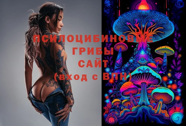 прущие грибы Абинск