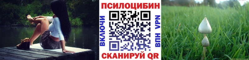 OMG ссылка  Александровск-Сахалинский  Галлюциногенные грибы Psilocybine cubensis 